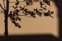 Cosmopolis